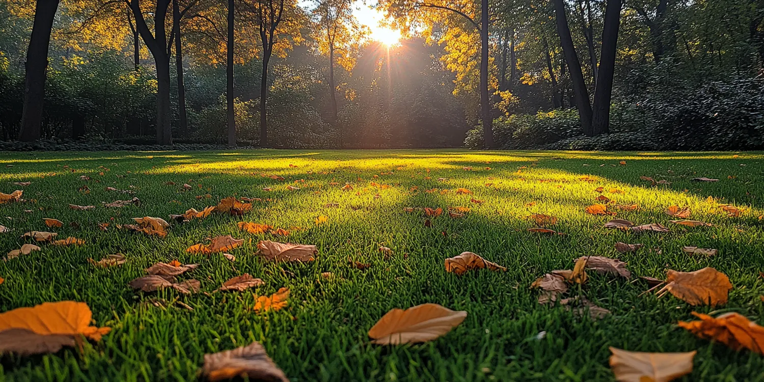 Ile waży trawa z rolki?